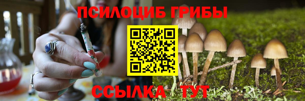 Псилоцибиновые грибы прущие грибы Горно-Алтайск